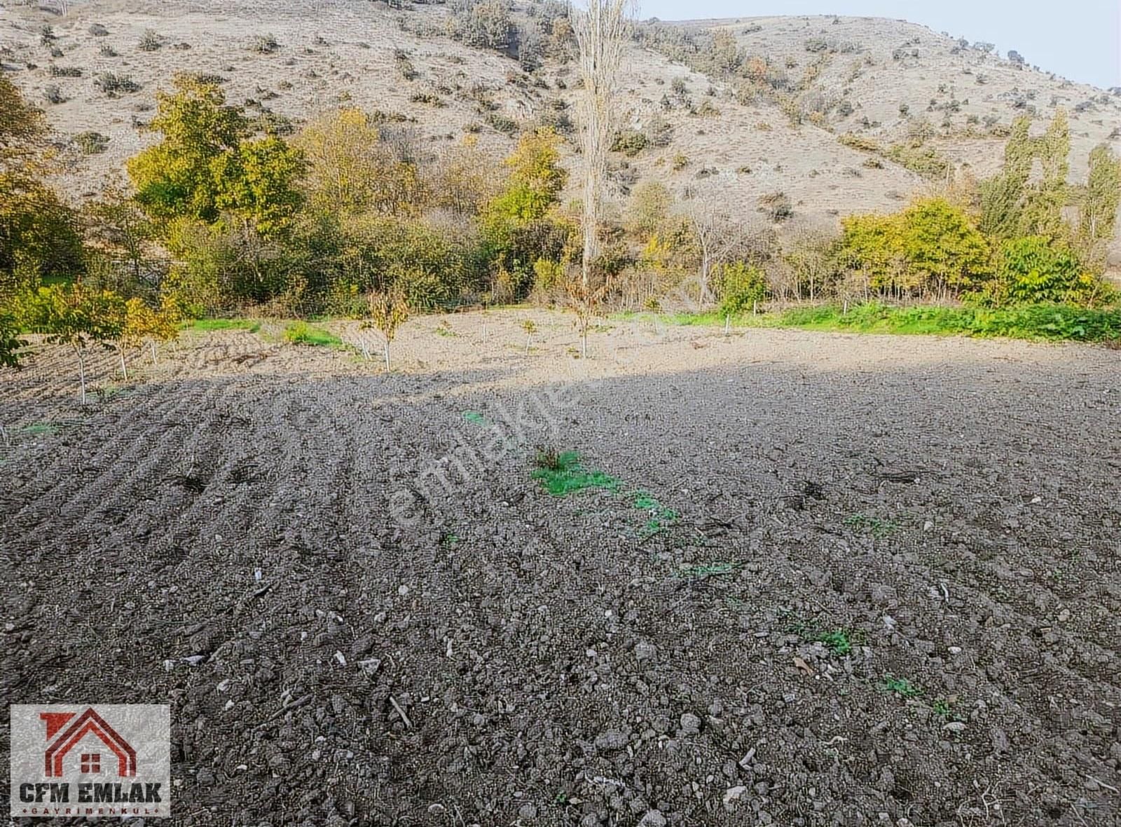 Çavuşköy'de 2 Parça Halinde Toplam:2.944 M2 Satılık Tarla - Görsel 4