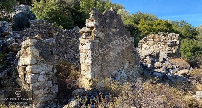 Karaburun Mordoğan Satılık Zeytinli Tarla - Görsel 14