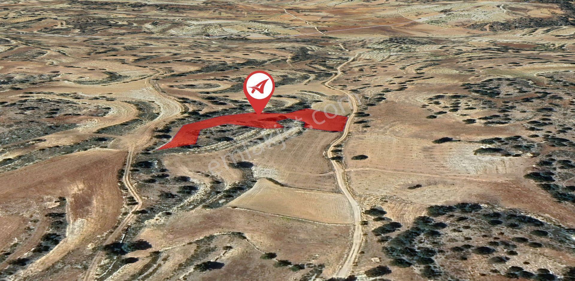 Karaman Ermenek Kazancı Satılık 5519m2 Tarla - Görsel 4