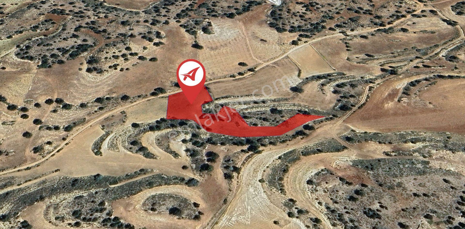 Karaman Ermenek Kazancı Satılık 5519m2 Tarla - Görsel 2