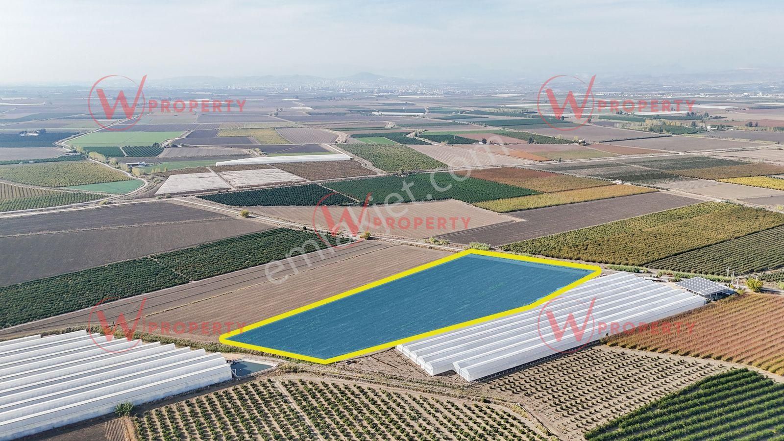 W Property Ballıca'da 32 Dönüm Arazi - Görsel 5