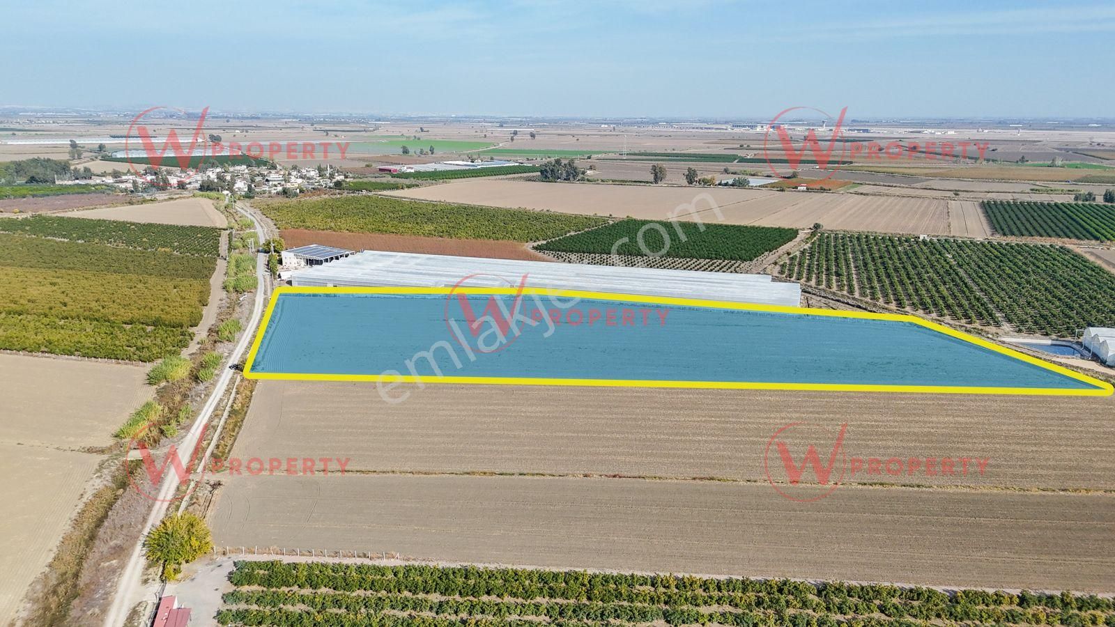 W Property Ballıca'da 32 Dönüm Arazi - Görsel 3