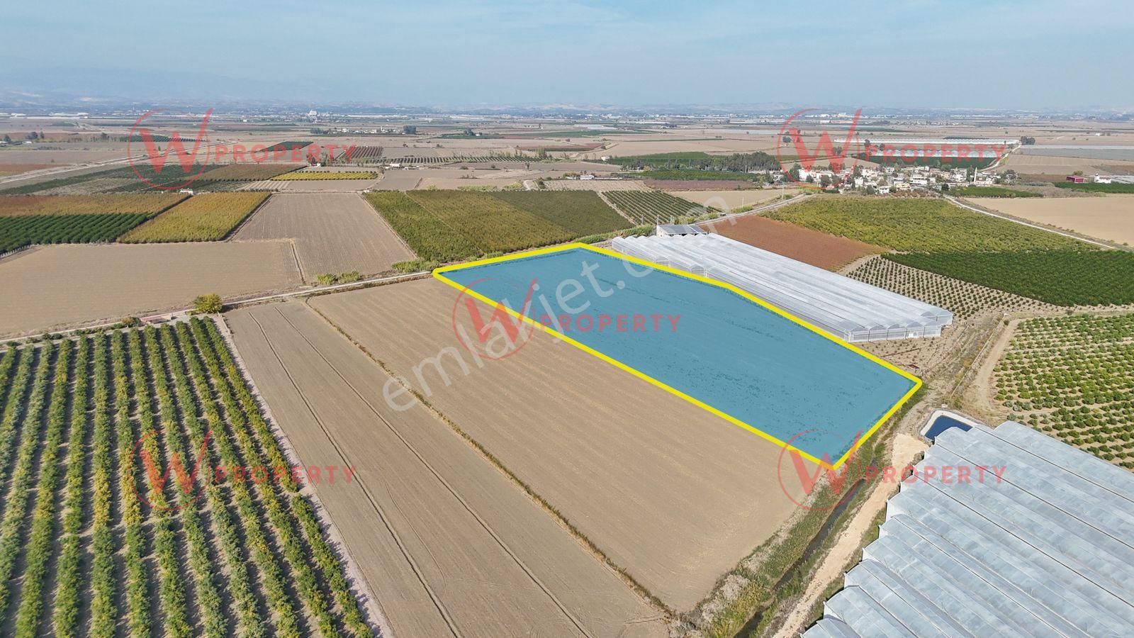 W Property Ballıca'da 32 Dönüm Arazi - Görsel 4