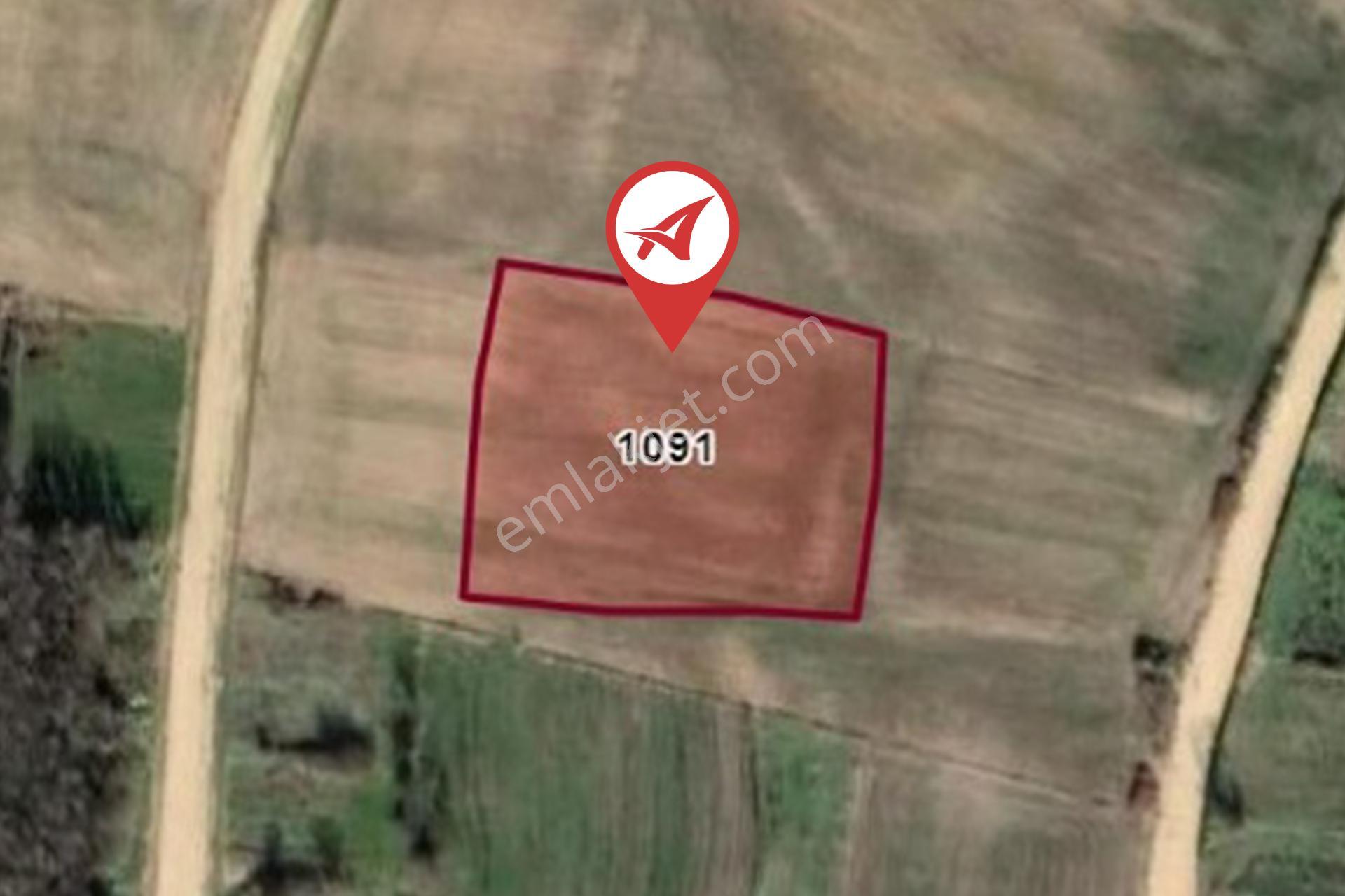Kırklareli-pehlivanköy-hıdırca 90m2 Bahçe - Görsel 8