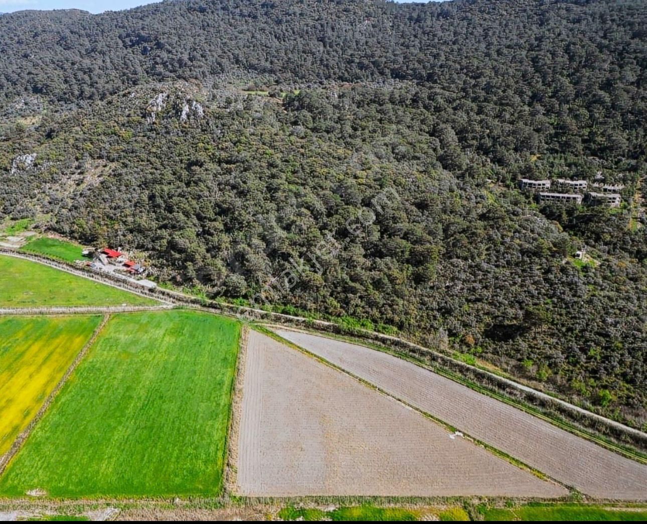 Muğla Ortaca Sarıgerme Güzelyurt’ta 600 M² Yatırımlık Hisseli Arsa – Altyapısı Hazır - Görsel 4