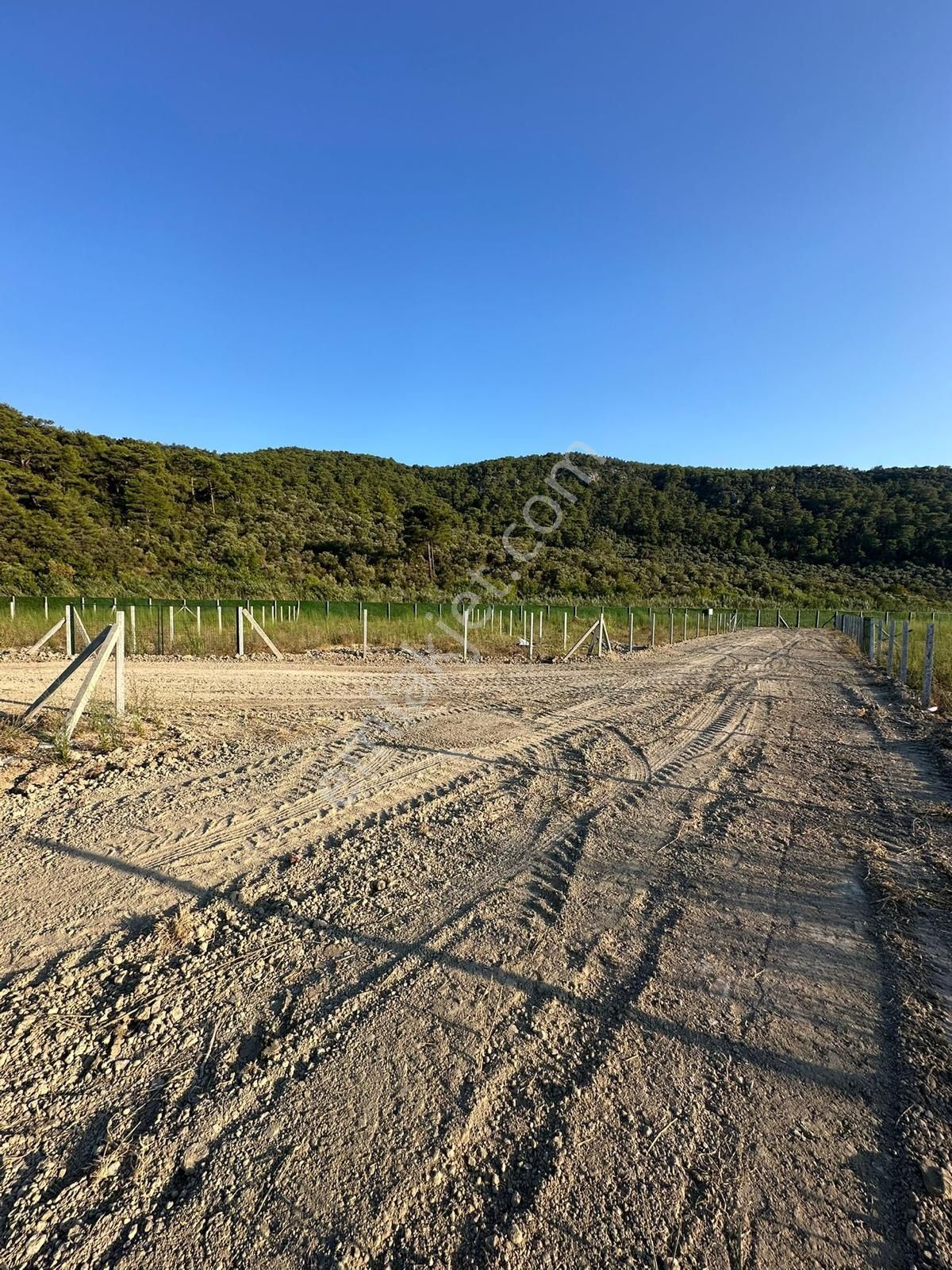 Muğla Ortaca Sarıgerme Güzelyurt’ta 600 M² Yatırımlık Hisseli Arsa – Altyapısı Hazır - Görsel 6