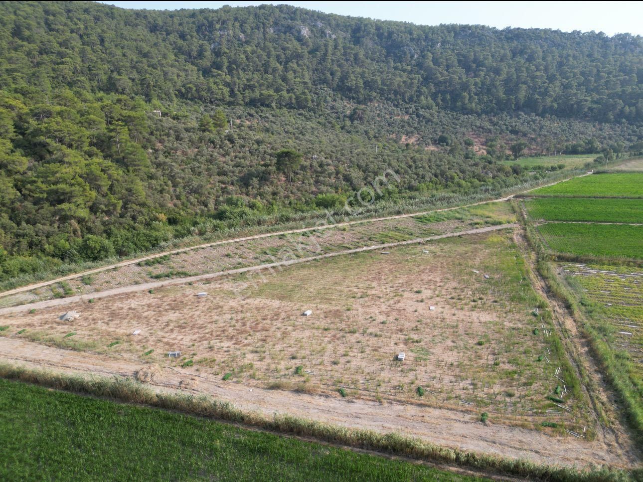 Muğla Ortaca Sarıgerme Güzelyurt’ta 600 M² Yatırımlık Hisseli Arsa – Altyapısı Hazır - Görsel 3