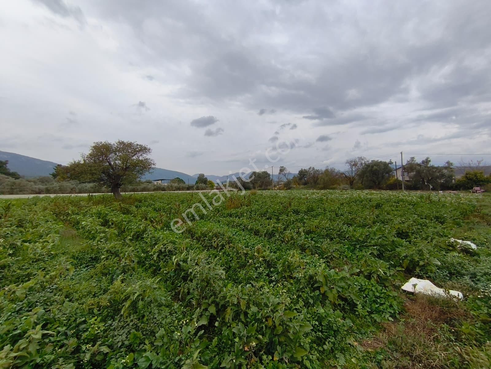 Turyap Menderes'ten Değirmendere'de Hisse Tapulu 4589m² Tarla - Görsel 10