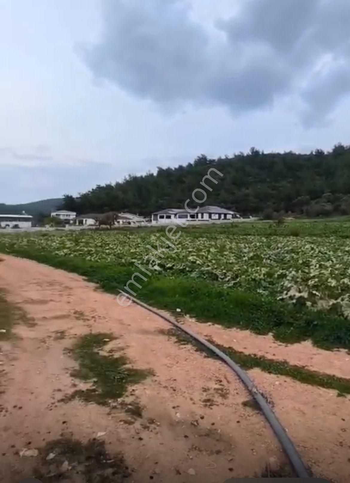 Turyap Menderes'ten Değirmendere'de Hisse Tapulu 4589m² Tarla - Görsel 7