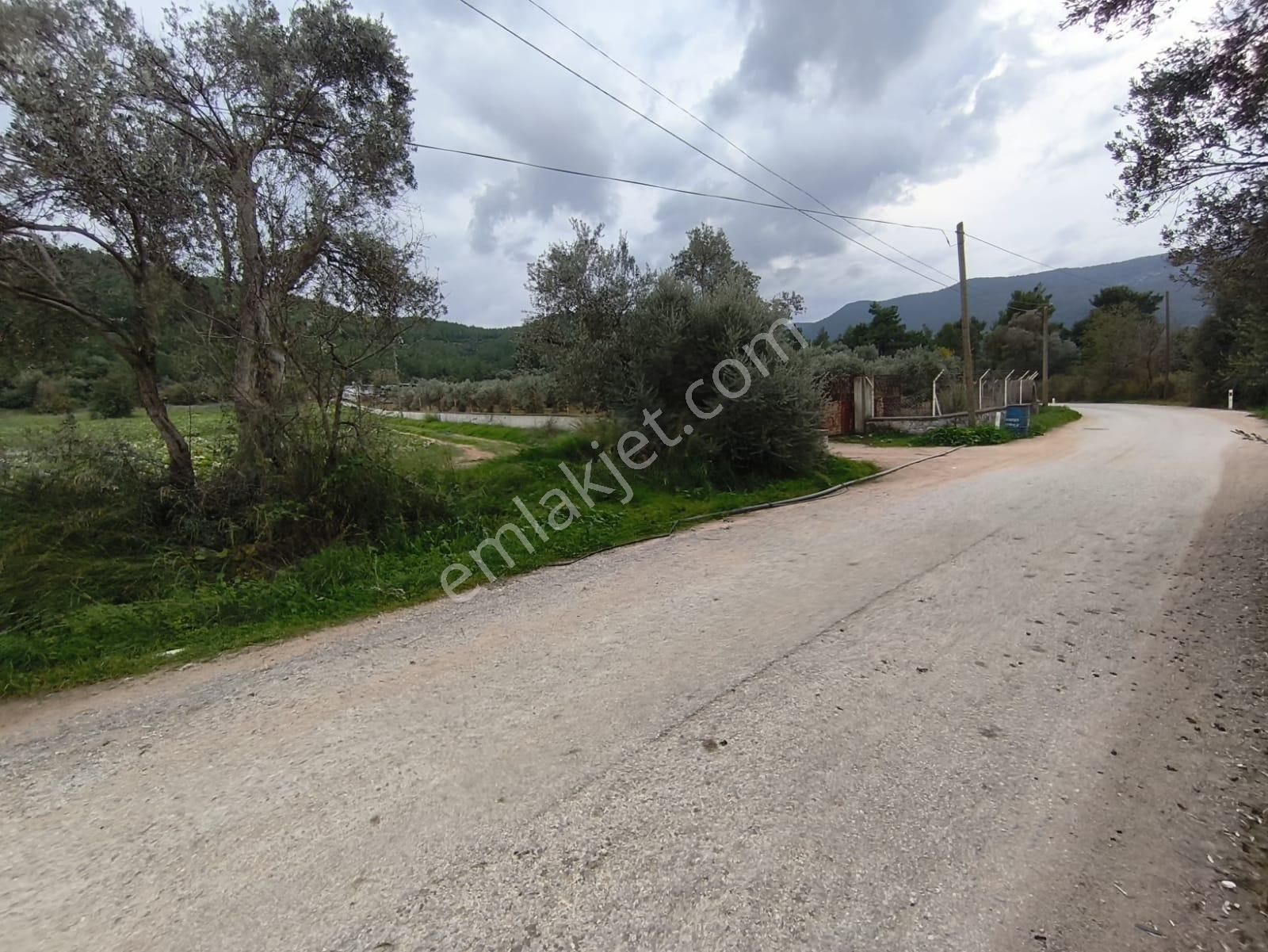 Turyap Menderes'ten Değirmendere'de Hisse Tapulu 4589m² Tarla - Görsel 2