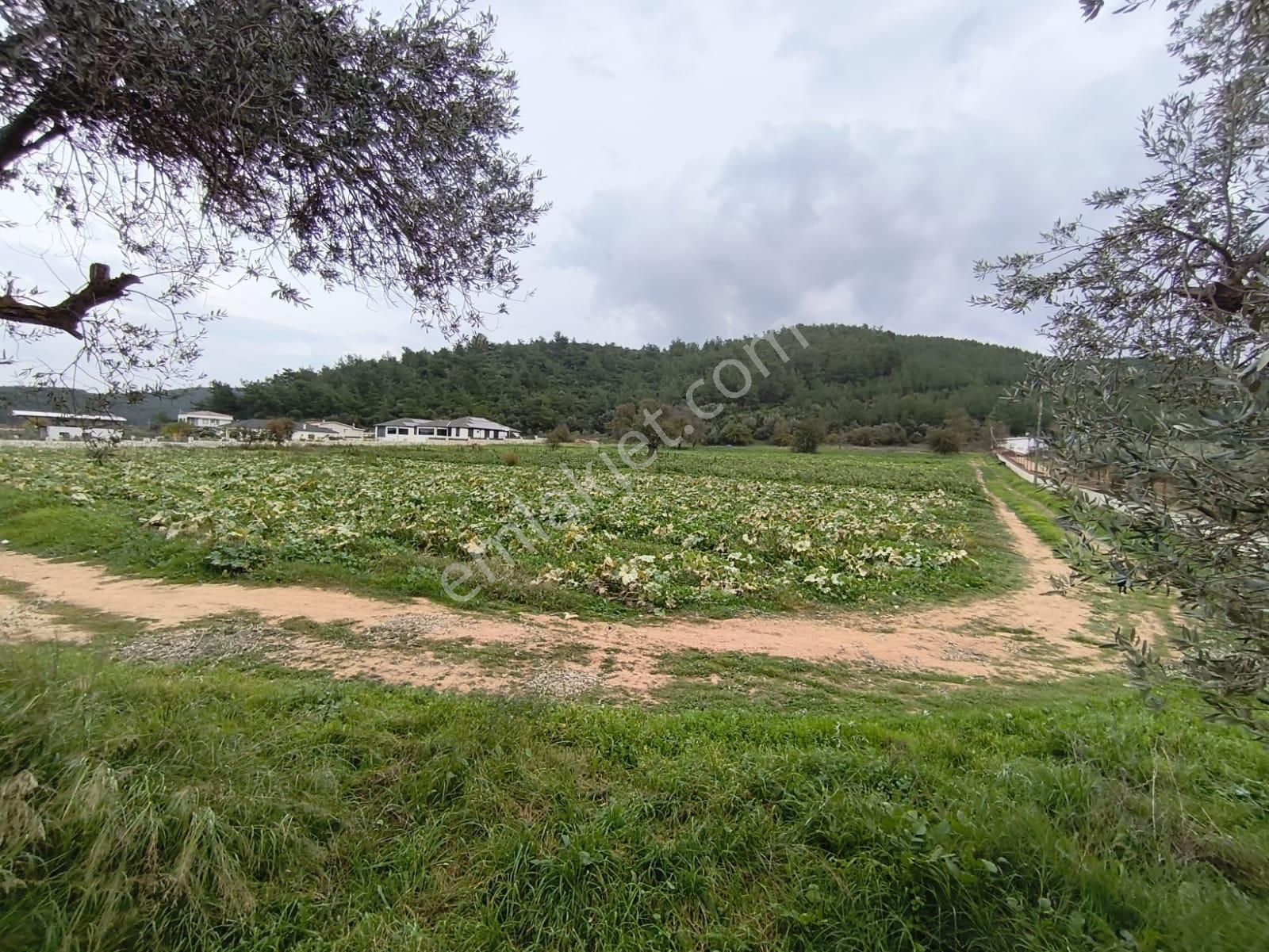 Turyap Menderes'ten Değirmendere'de Hisse Tapulu 4589m² Tarla - Görsel 4