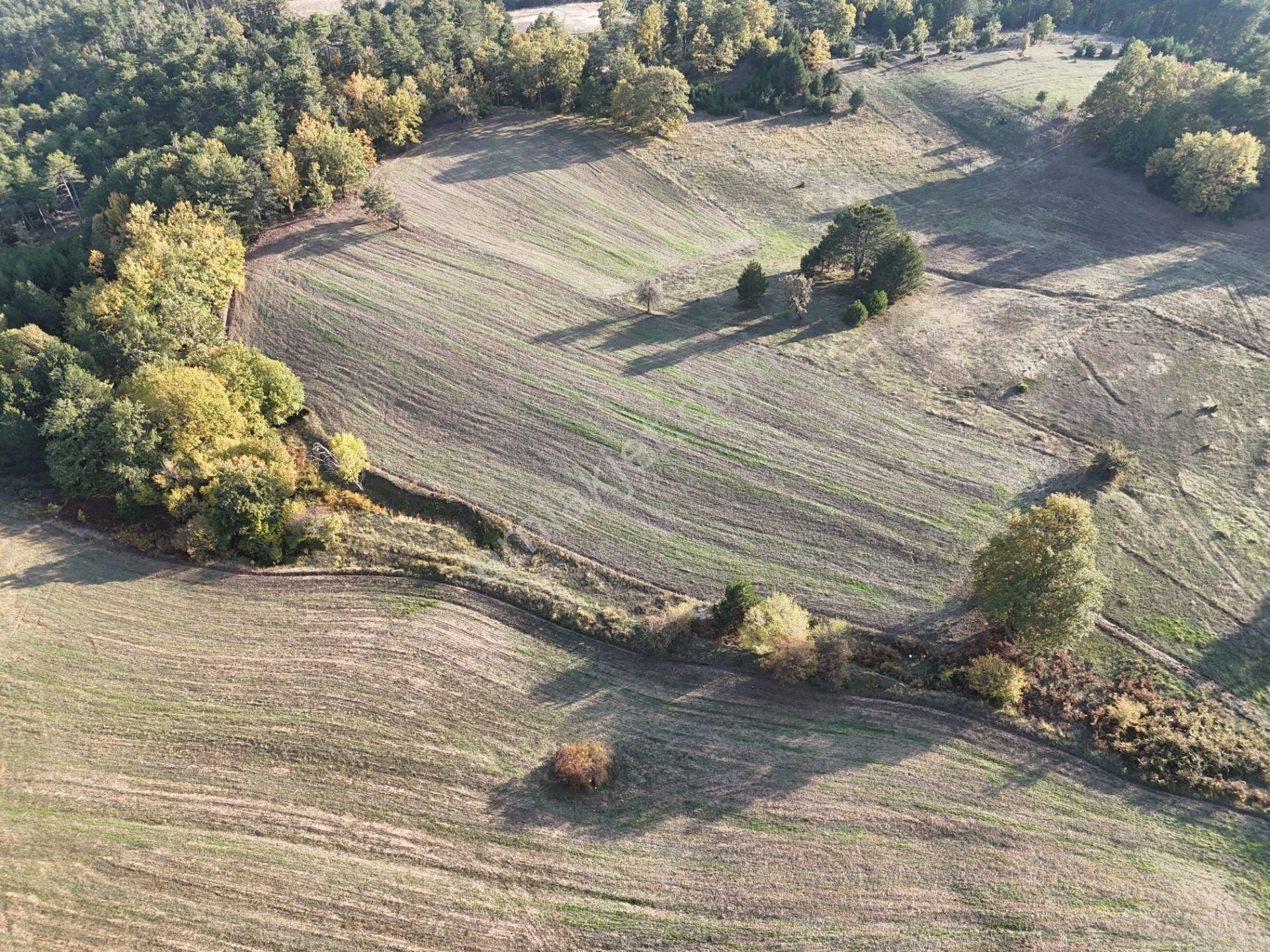 Emlakevim - Kemaliye Mahallesinde Satılık1.314 M2 Tarla ! - Görsel 7