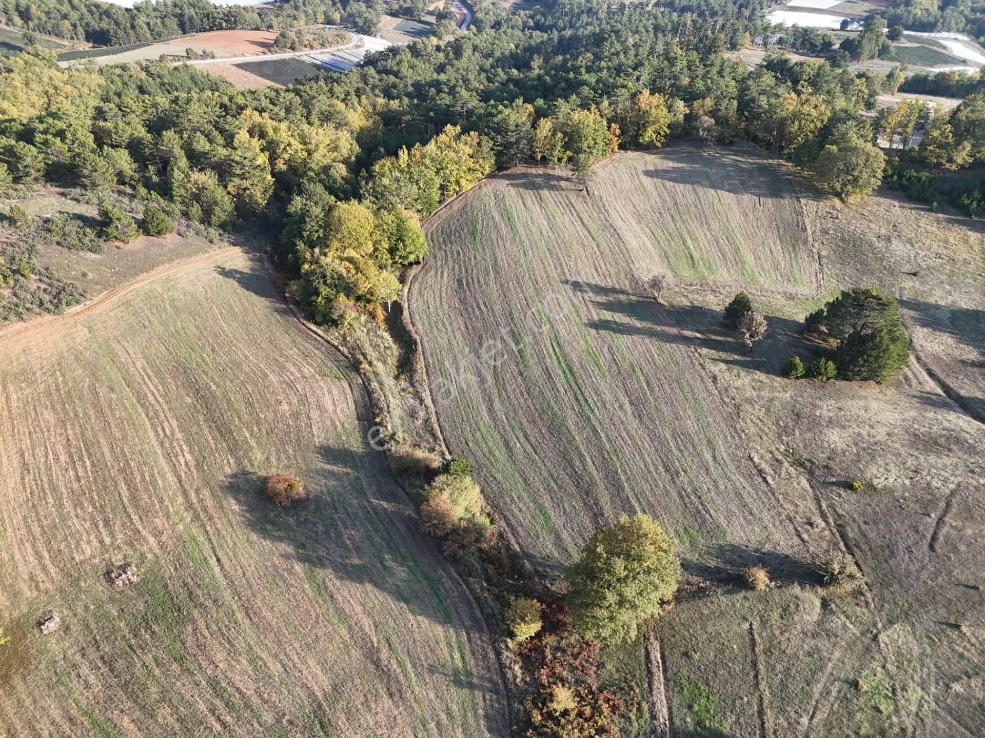 Emlakevim - Kemaliye Mahallesinde Satılık1.314 M2 Tarla ! - Görsel 8