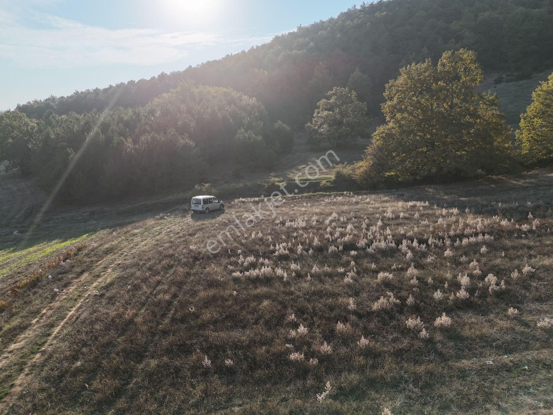 Emlakevim - Kemaliye Mahallesinde Satılık1.314 M2 Tarla ! - Görsel 16