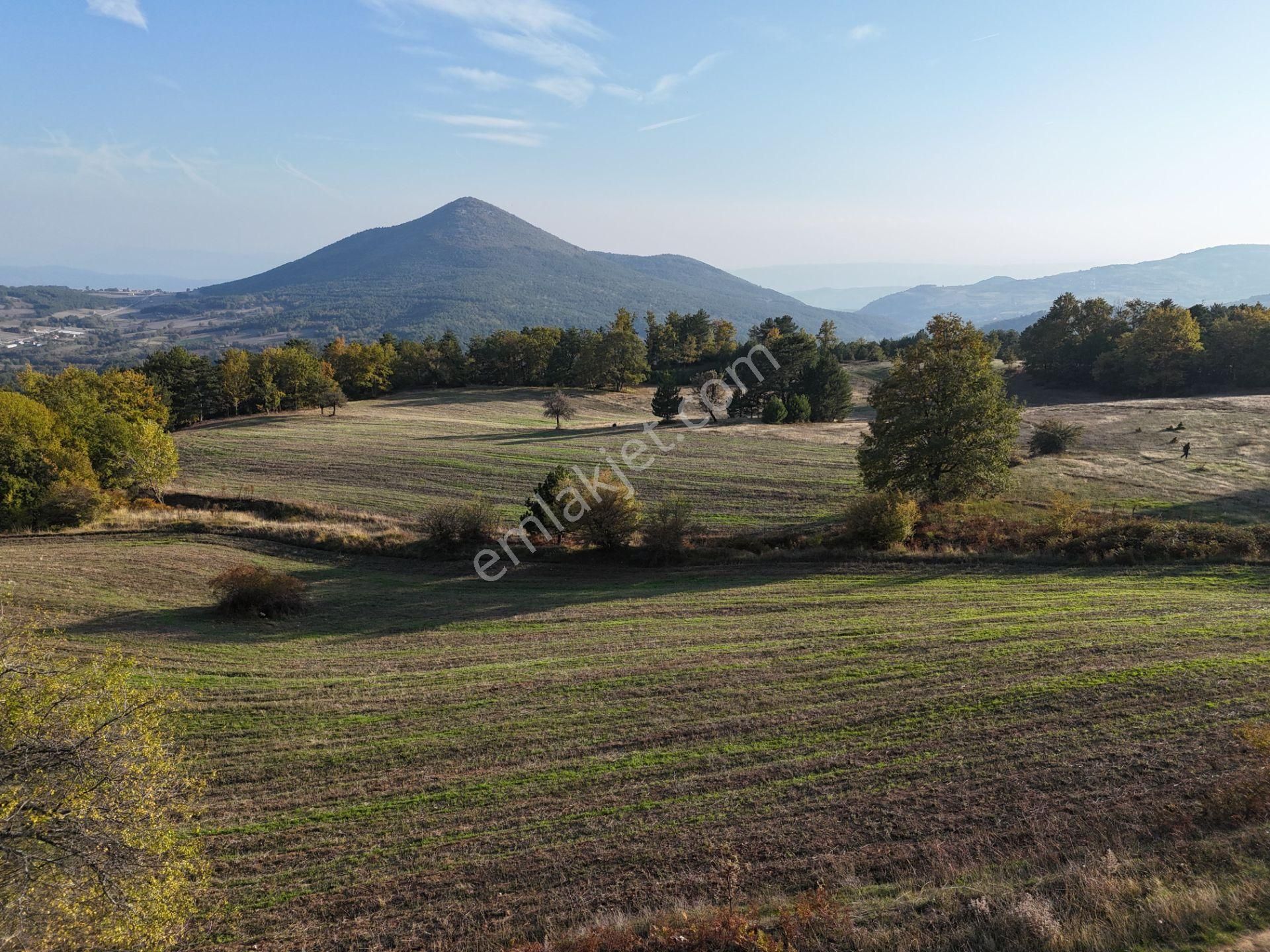 Emlakevim - Kemaliye Mahallesinde Satılık1.314 M2 Tarla ! - Görsel 15