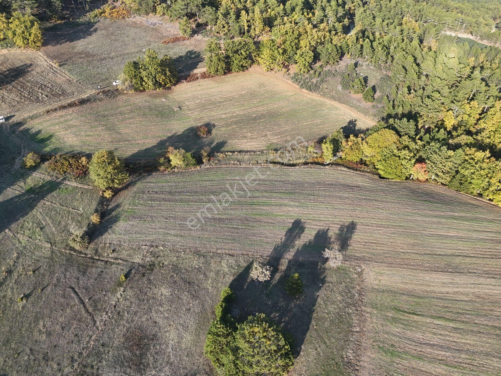 Emlakevim - Kemaliye Mahallesinde Satılık1.314 M2 Tarla ! - Görsel 12