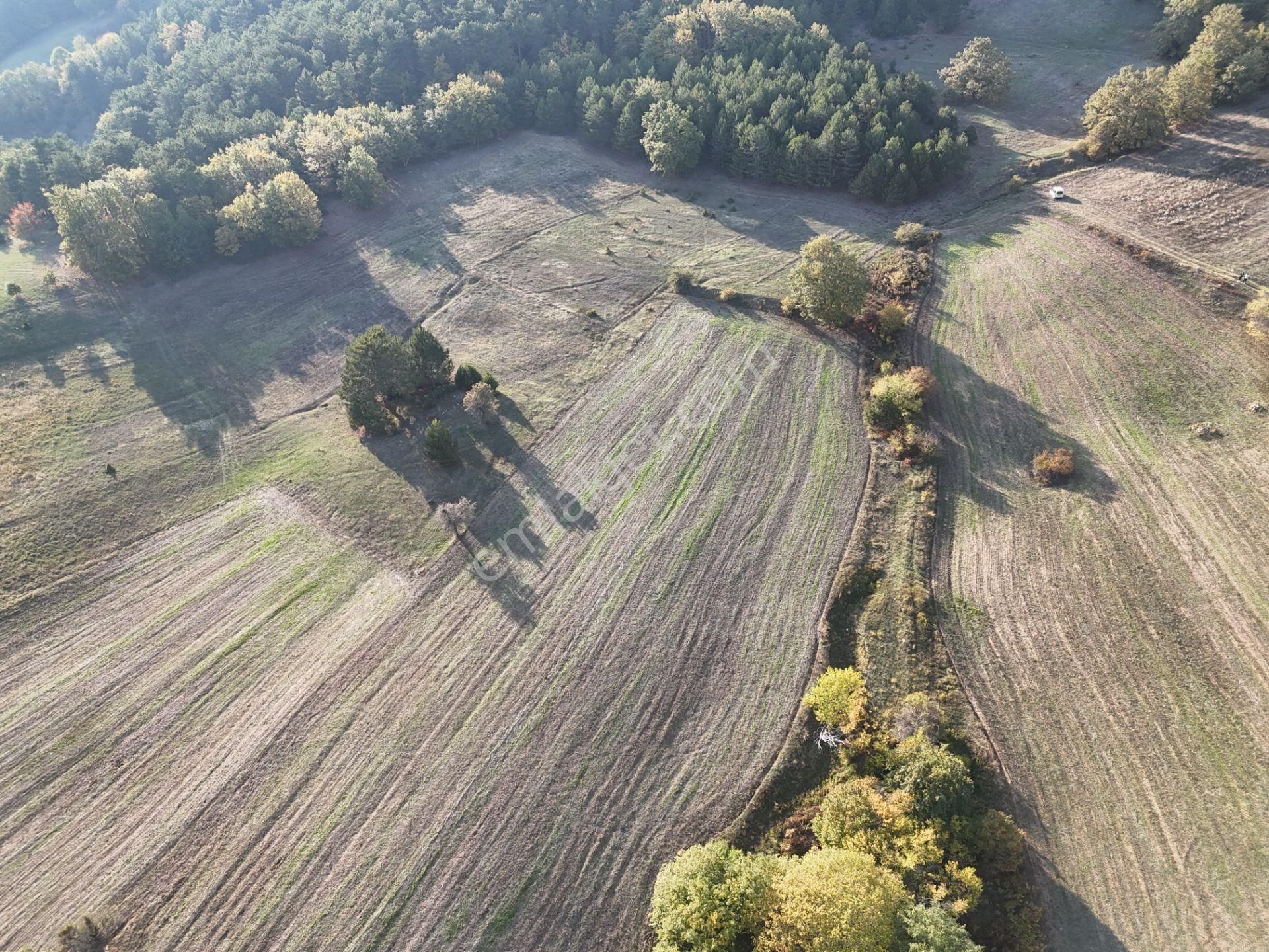 Emlakevim - Kemaliye Mahallesinde Satılık1.314 M2 Tarla ! - Görsel 4