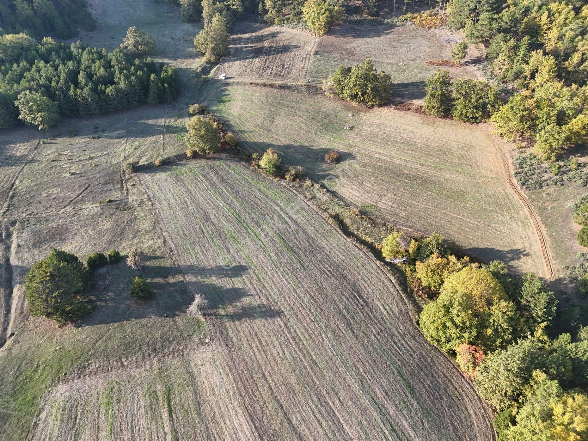 Emlakevim - Kemaliye Mahallesinde Satılık1.314 M2 Tarla ! - Görsel 2