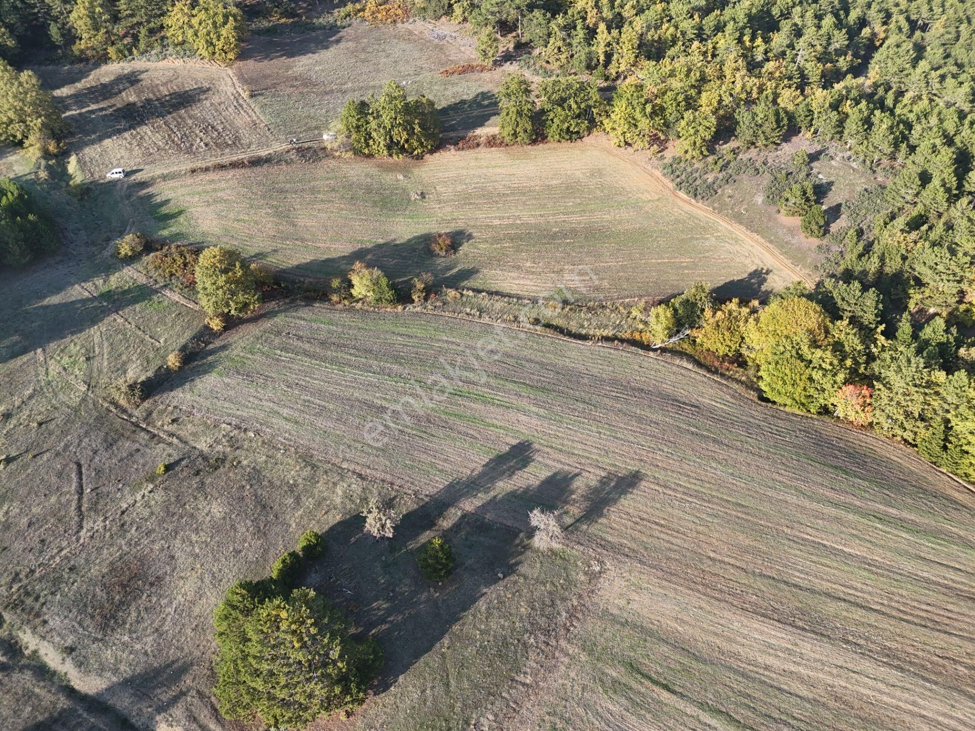 Emlakevim - Kemaliye Mahallesinde Satılık1.314 M2 Tarla ! - Görsel 13