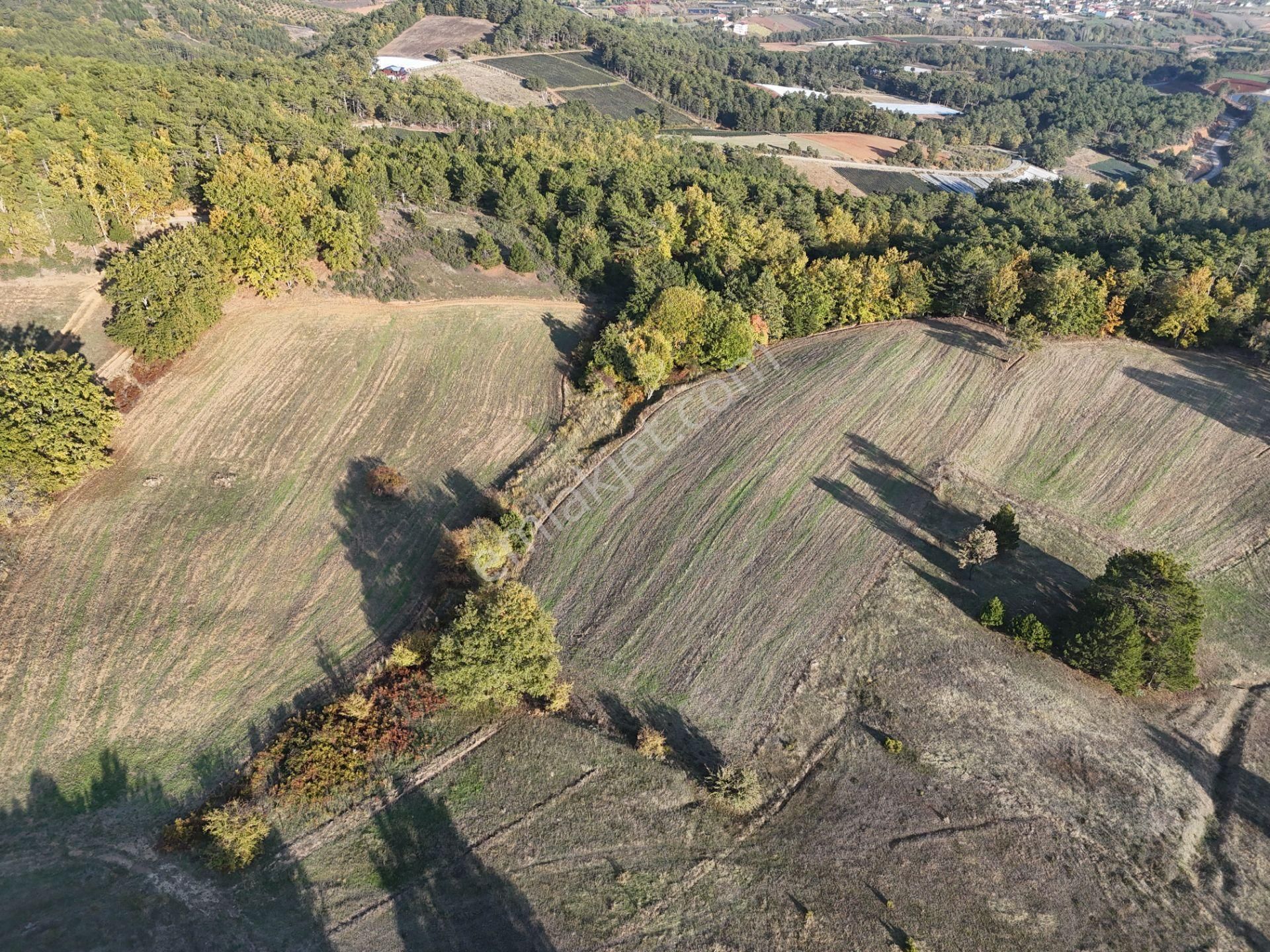 Emlakevim - Kemaliye Mahallesinde Satılık1.314 M2 Tarla ! - Görsel 9