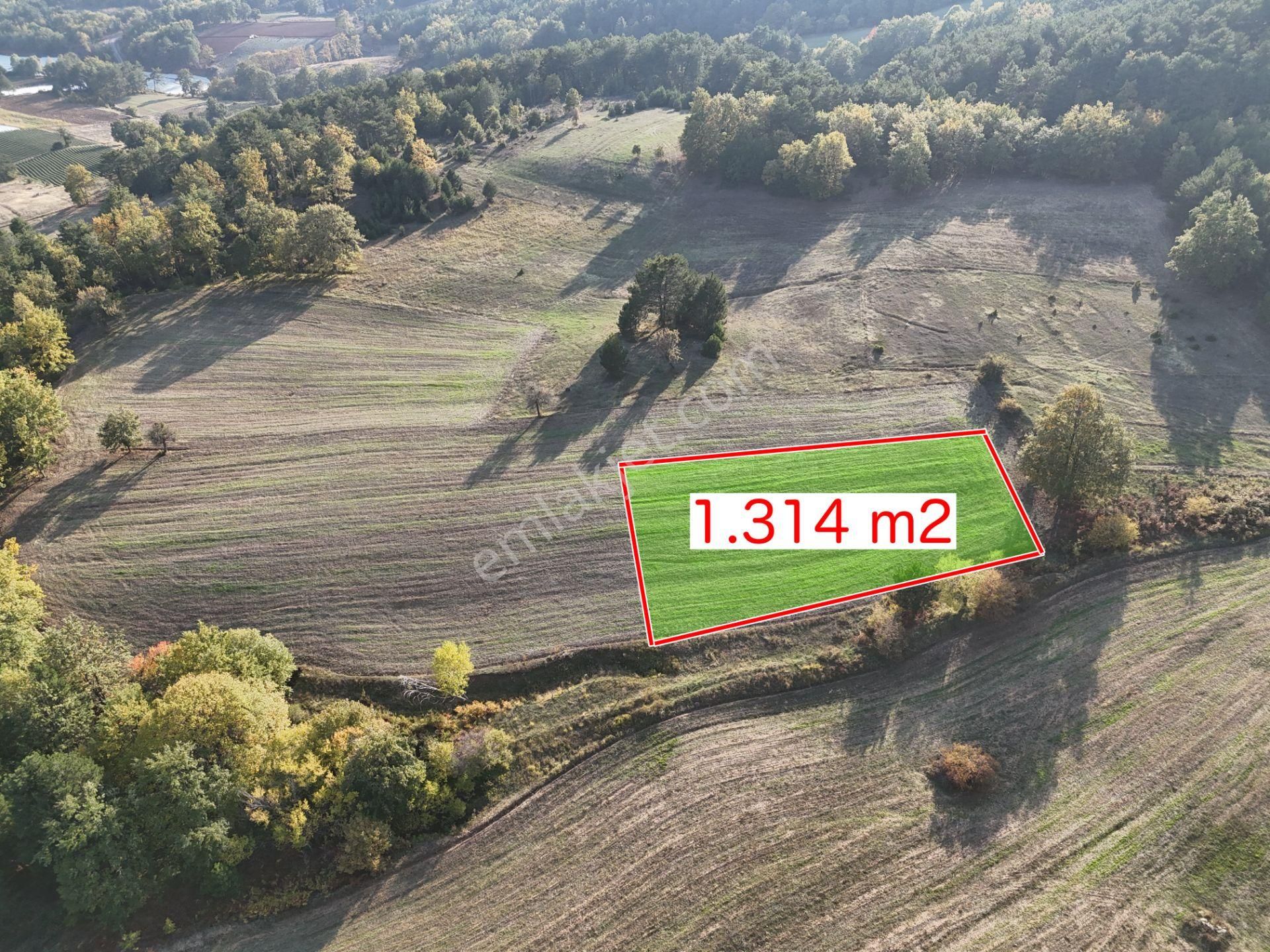 Emlakevim - Kemaliye Mahallesinde Satılık1.314 M2 Tarla ! - Görsel 6