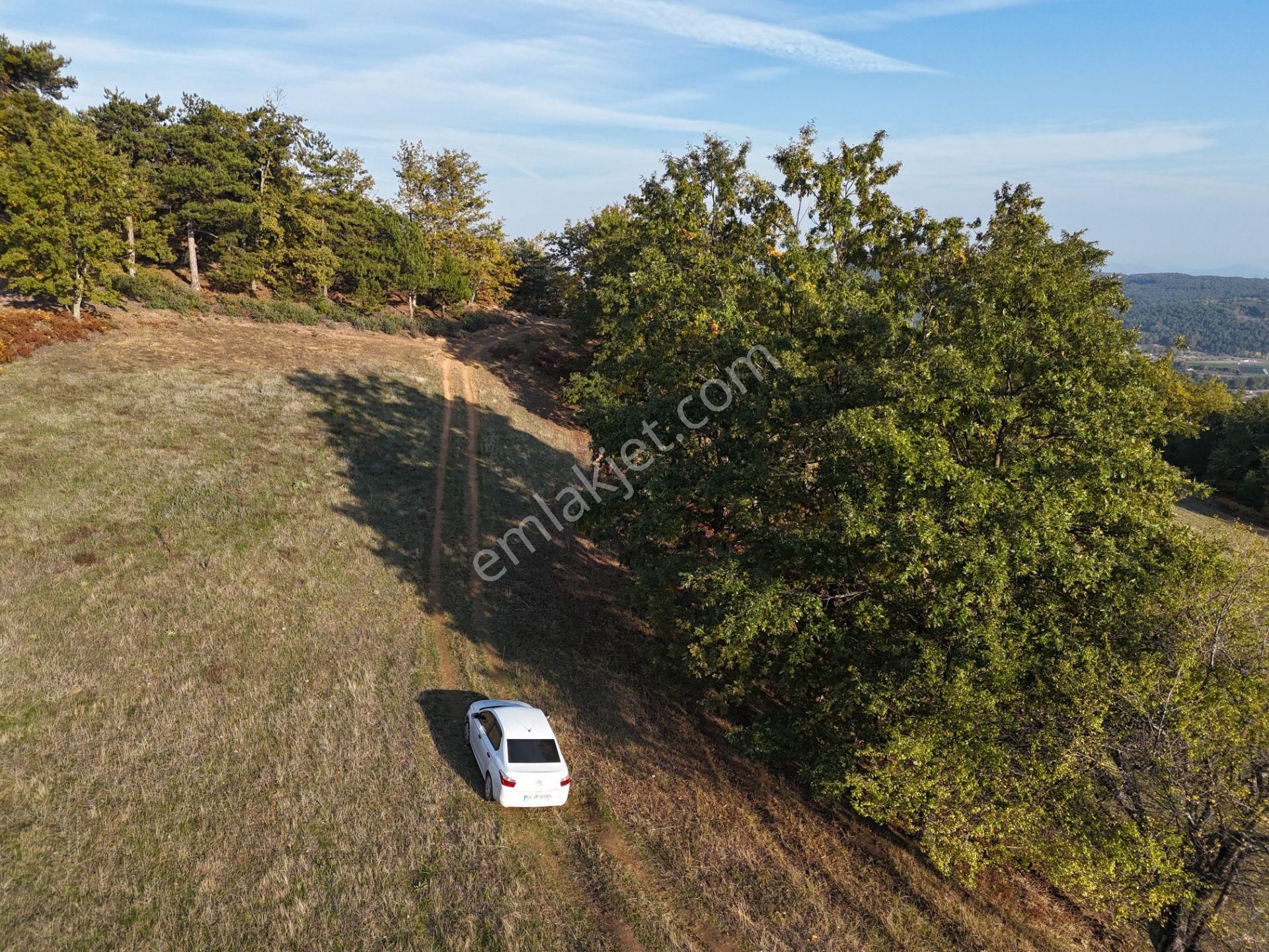 Emlakevim - Kemaliye Mahallesinde Satılık1.314 M2 Tarla ! - Görsel 14