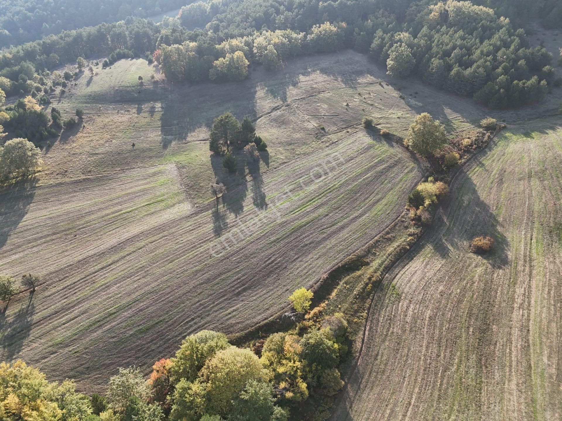 Emlakevim - Kemaliye Mahallesinde Satılık1.314 M2 Tarla ! - Görsel 5