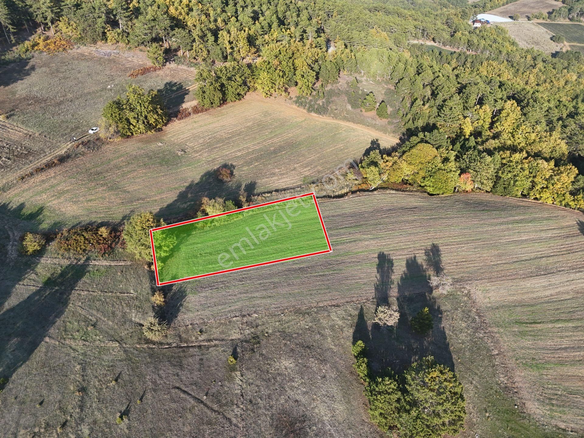 Emlakevim - Kemaliye Mahallesinde Satılık1.314 M2 Tarla ! - Görsel 11