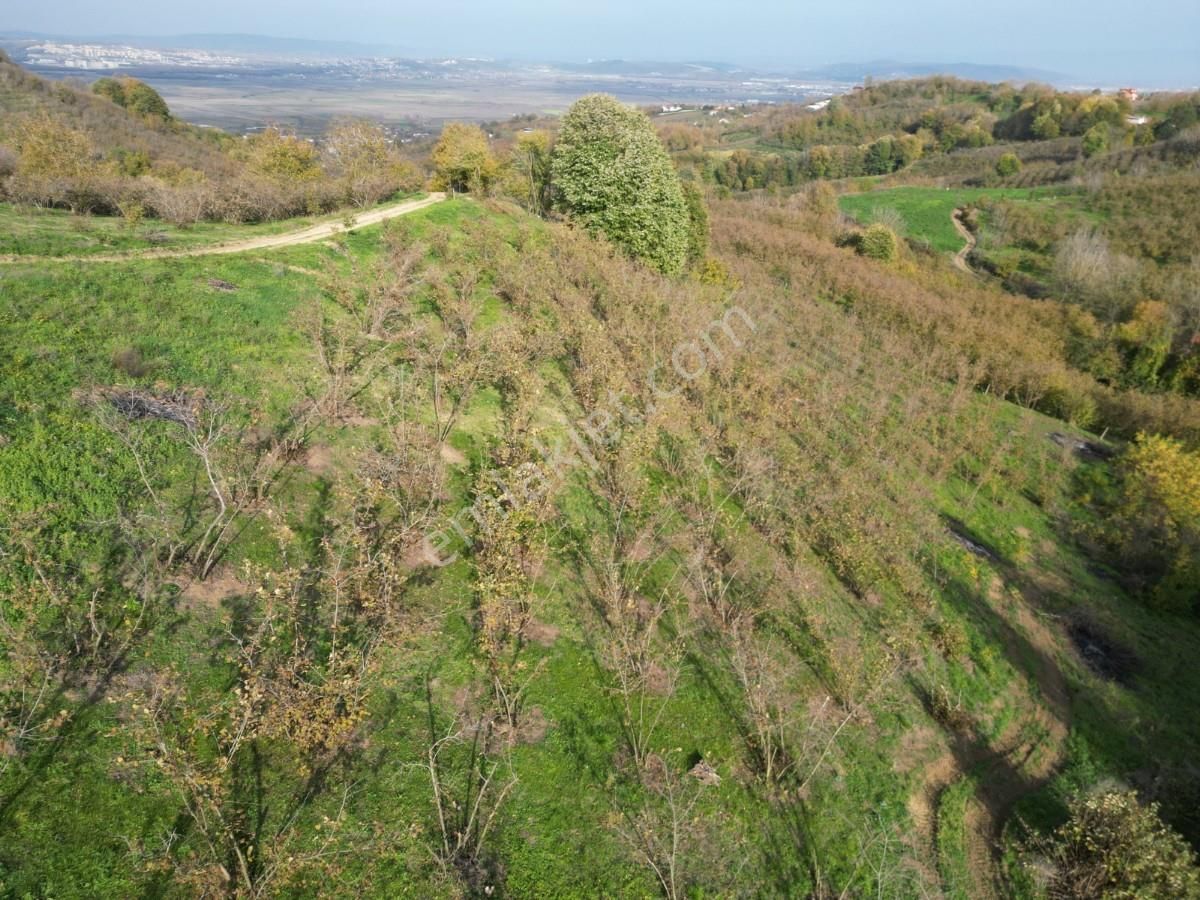Turyaptan Serdivan Çubuklu Da 10424 M² Bağ Evine Uygun Tarla - Görsel 6