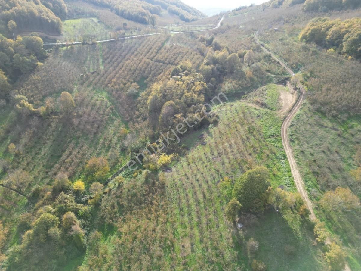 Turyaptan Serdivan Çubuklu Da 10424 M² Bağ Evine Uygun Tarla - Görsel 25