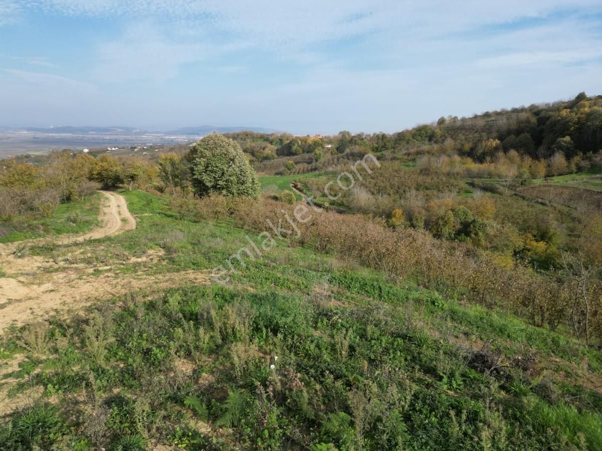 Turyaptan Serdivan Çubuklu Da 10424 M² Bağ Evine Uygun Tarla - Görsel 9