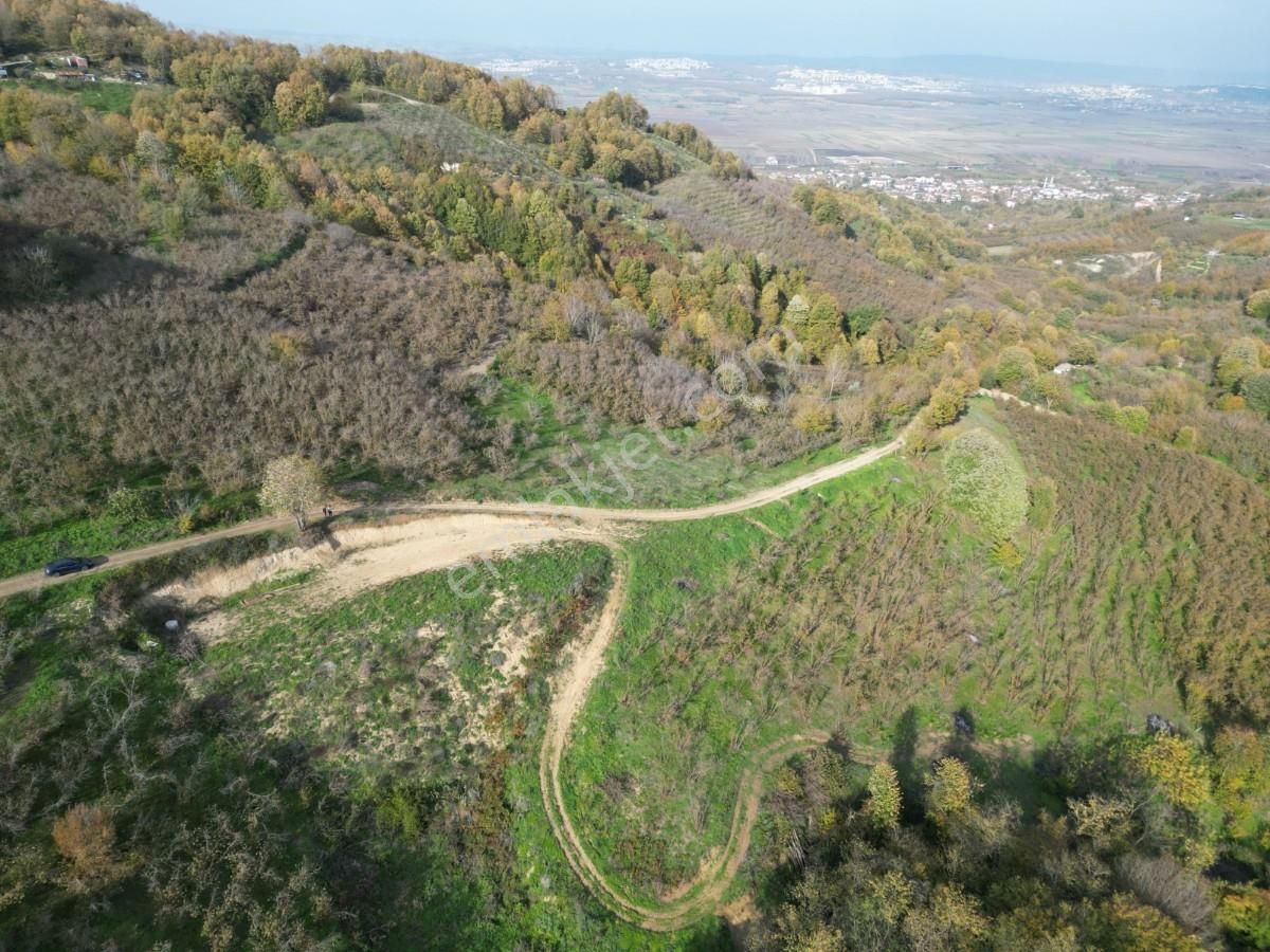 Turyaptan Serdivan Çubuklu Da 10424 M² Bağ Evine Uygun Tarla - Görsel 33