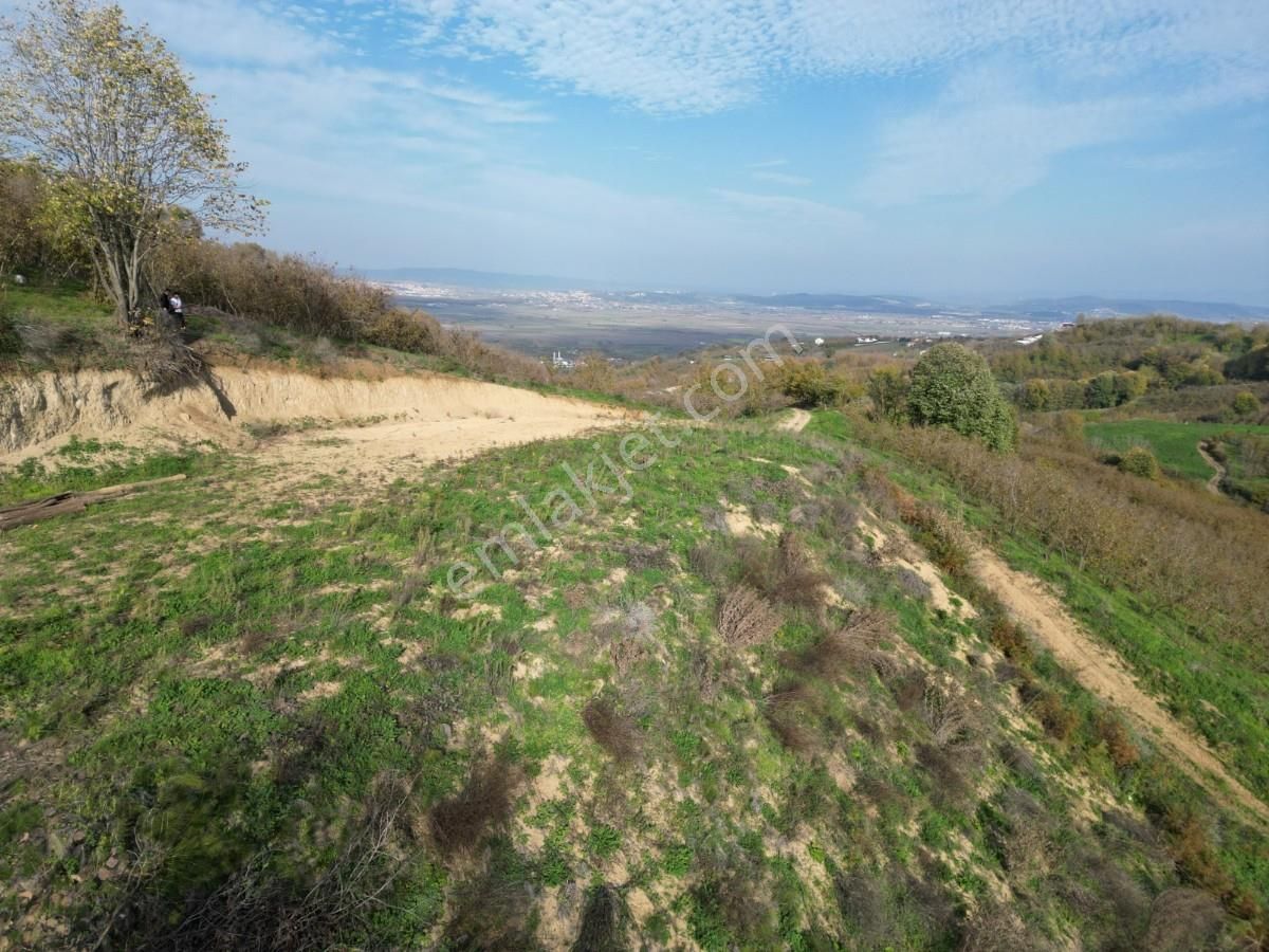 Turyaptan Serdivan Çubuklu Da 10424 M² Bağ Evine Uygun Tarla - Görsel 16