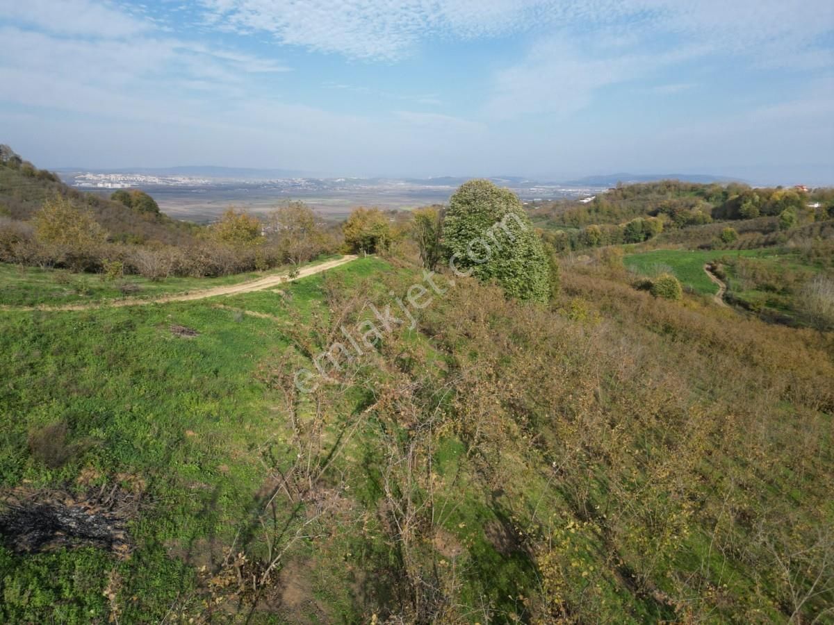 Turyaptan Serdivan Çubuklu Da 10424 M² Bağ Evine Uygun Tarla - Görsel 8