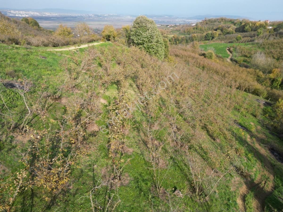 Turyaptan Serdivan Çubuklu Da 10424 M² Bağ Evine Uygun Tarla - Görsel 7