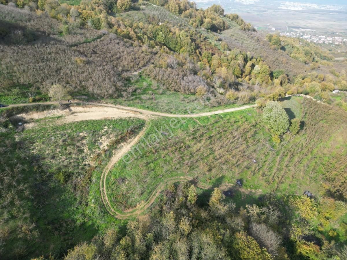 Turyaptan Serdivan Çubuklu Da 10424 M² Bağ Evine Uygun Tarla - Görsel 35