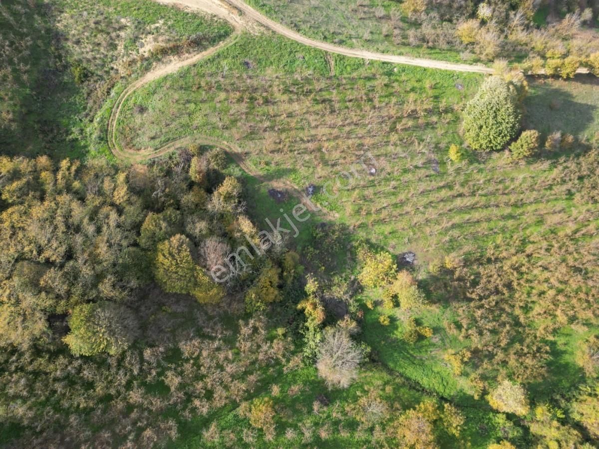 Turyaptan Serdivan Çubuklu Da 10424 M² Bağ Evine Uygun Tarla - Görsel 23