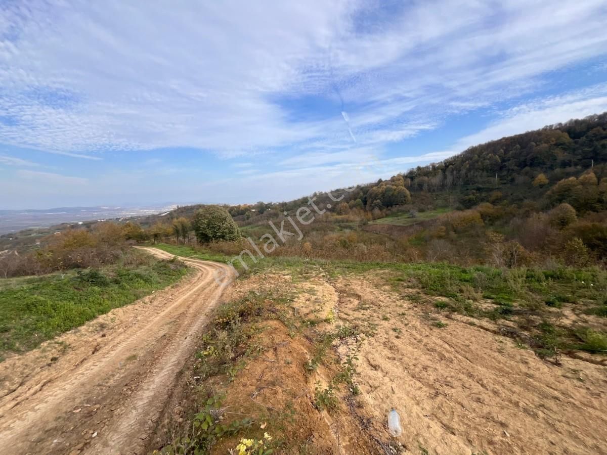 Turyaptan Serdivan Çubuklu Da 10424 M² Bağ Evine Uygun Tarla