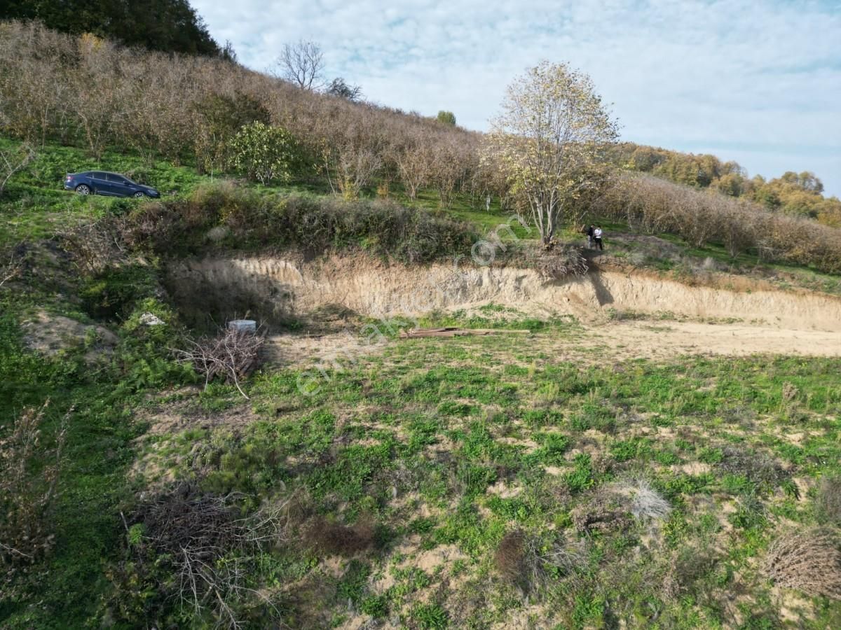 Turyaptan Serdivan Çubuklu Da 10424 M² Bağ Evine Uygun Tarla - Görsel 15