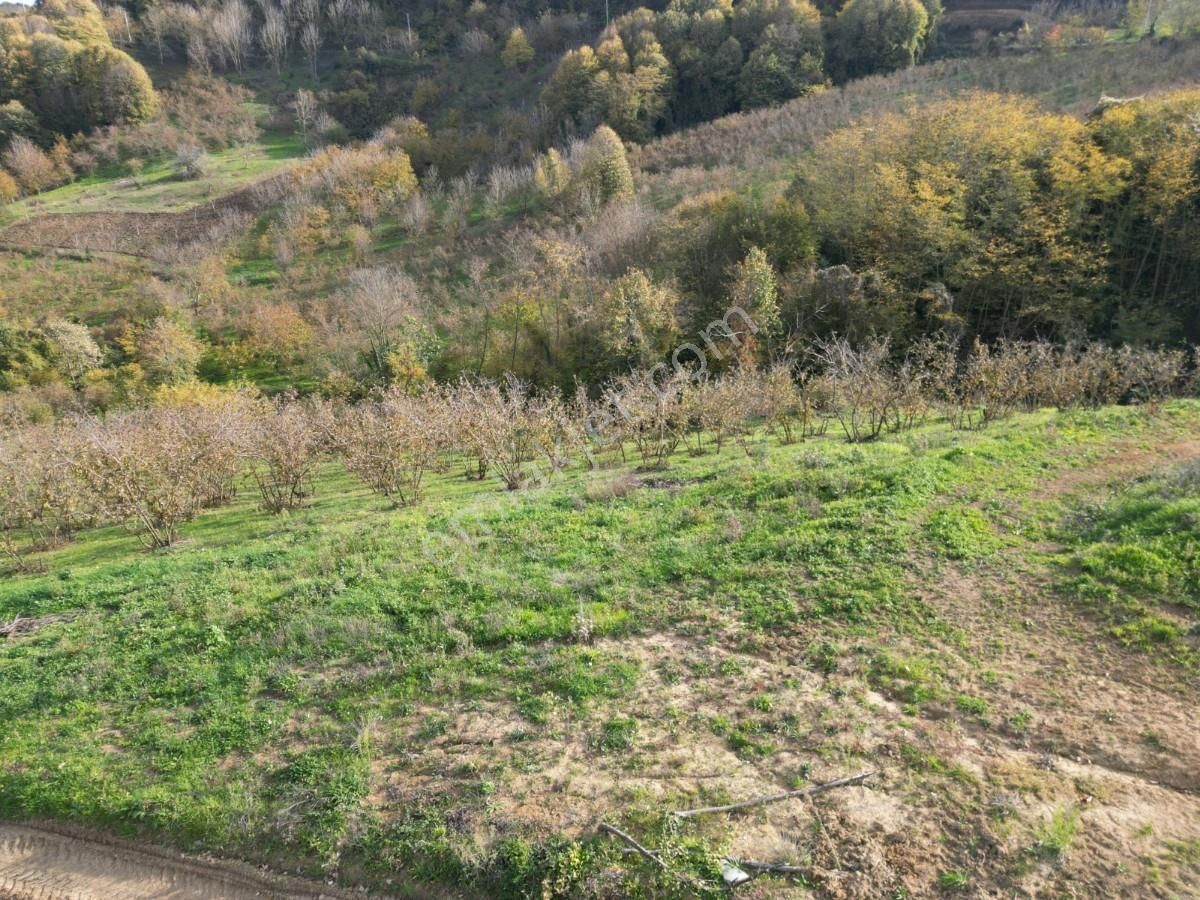 Turyaptan Serdivan Çubuklu Da 10424 M² Bağ Evine Uygun Tarla - Görsel 11