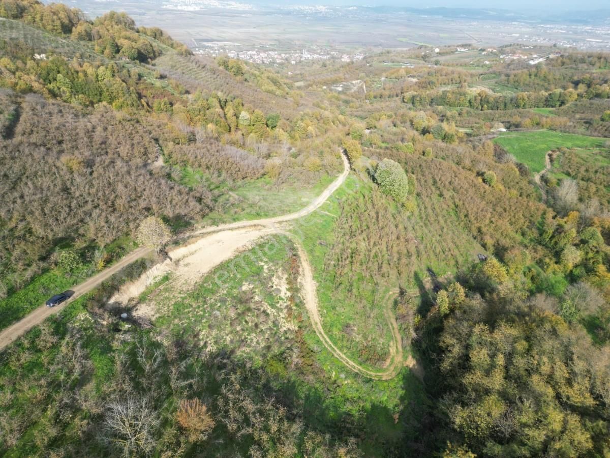 Turyaptan Serdivan Çubuklu Da 10424 M² Bağ Evine Uygun Tarla - Görsel 31