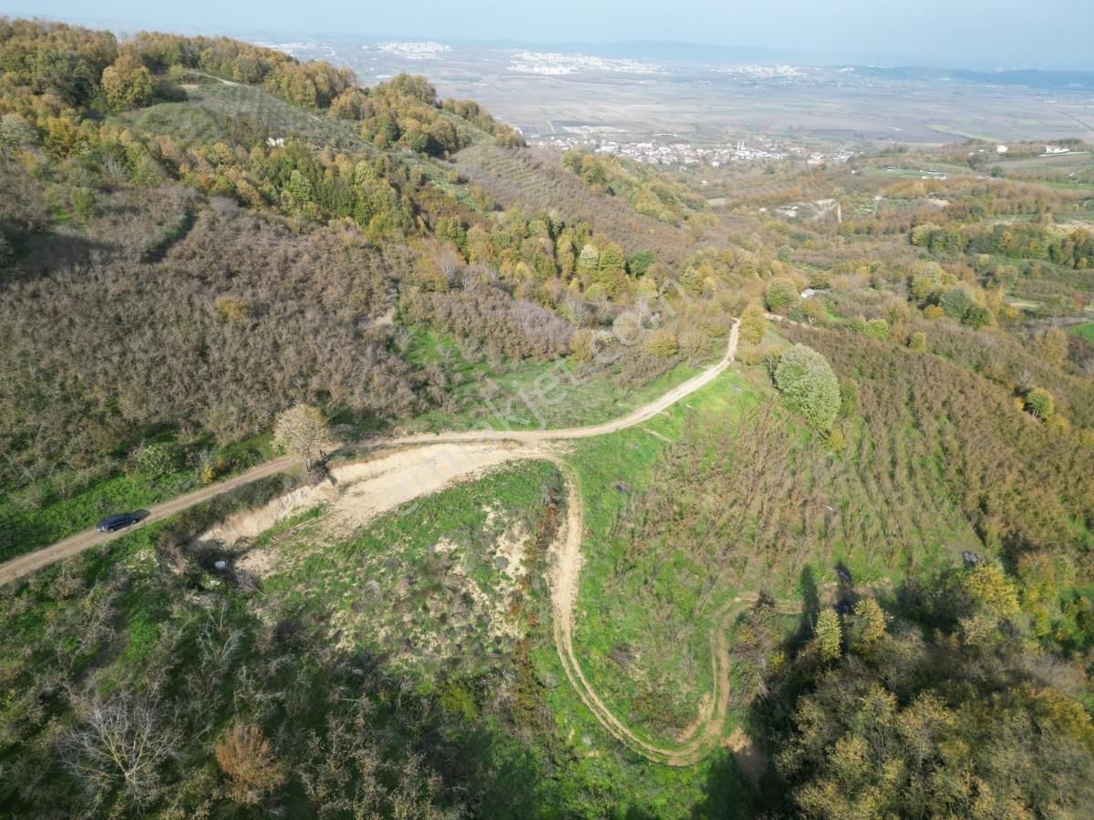 Turyaptan Serdivan Çubuklu Da 10424 M² Bağ Evine Uygun Tarla - Görsel 32