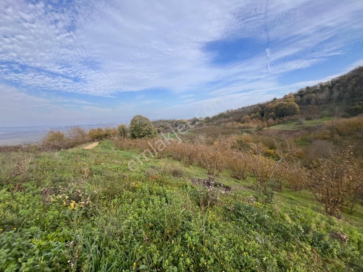 Turyaptan Serdivan Çubuklu Da 10424 M² Bağ Evine Uygun Tarla - Görsel 4