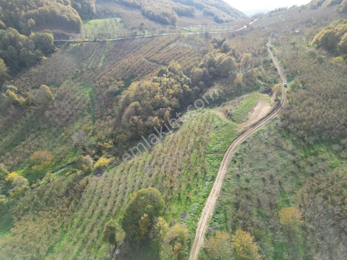 Turyaptan Serdivan Çubuklu Da 10424 M² Bağ Evine Uygun Tarla - Görsel 26