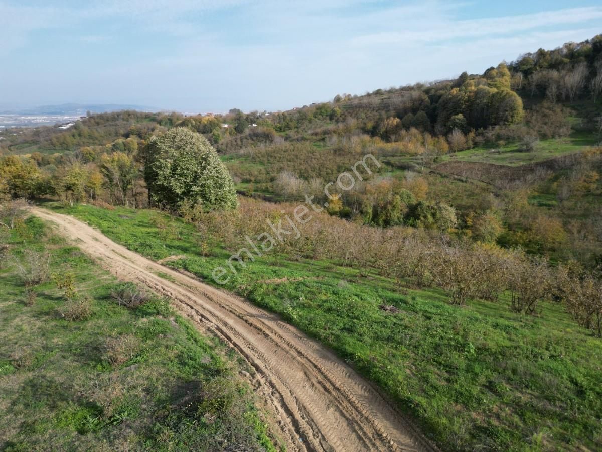 Turyaptan Serdivan Çubuklu Da 10424 M² Bağ Evine Uygun Tarla - Görsel 10