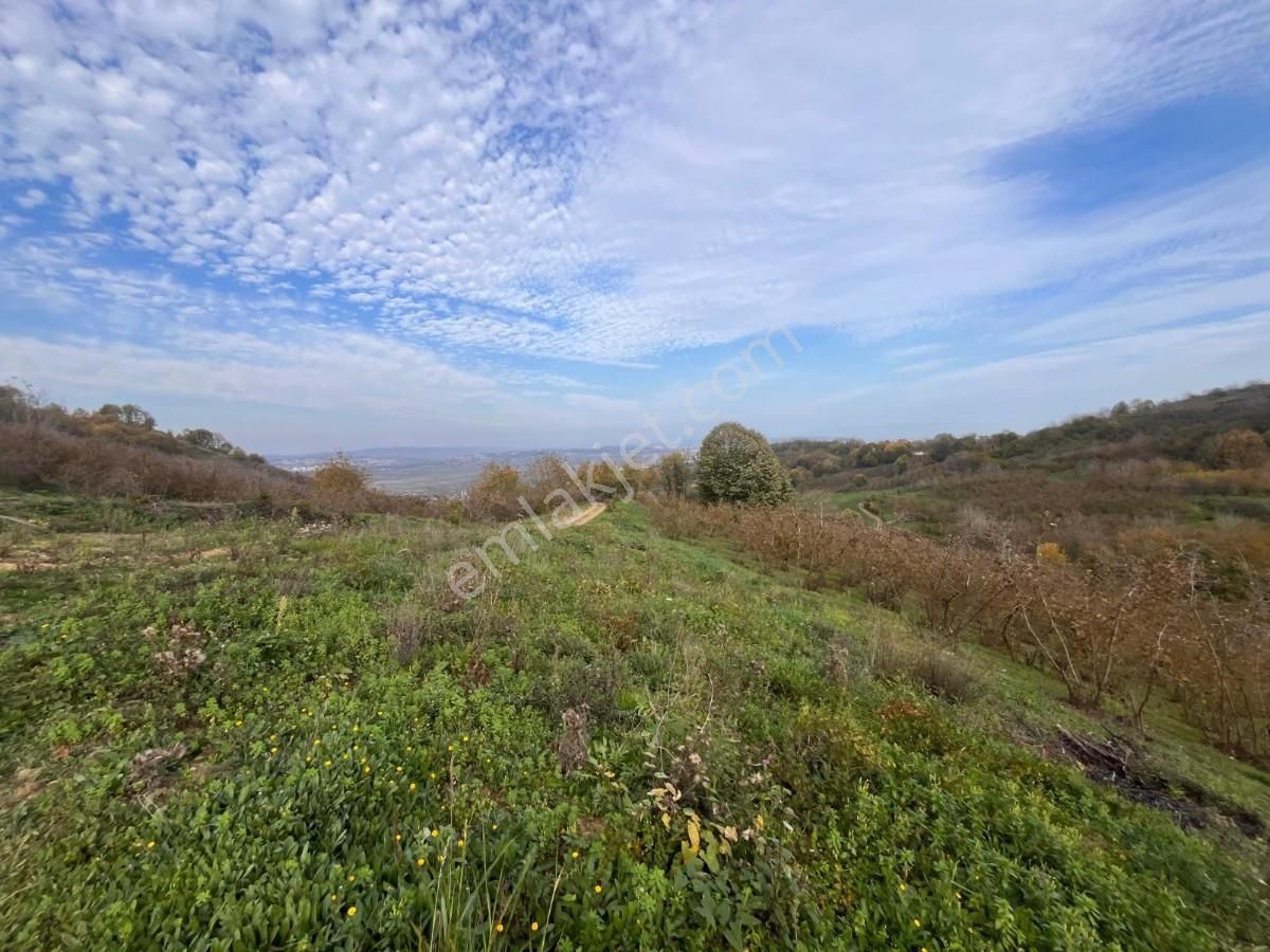 Turyaptan Serdivan Çubuklu Da 10424 M² Bağ Evine Uygun Tarla - Görsel 3