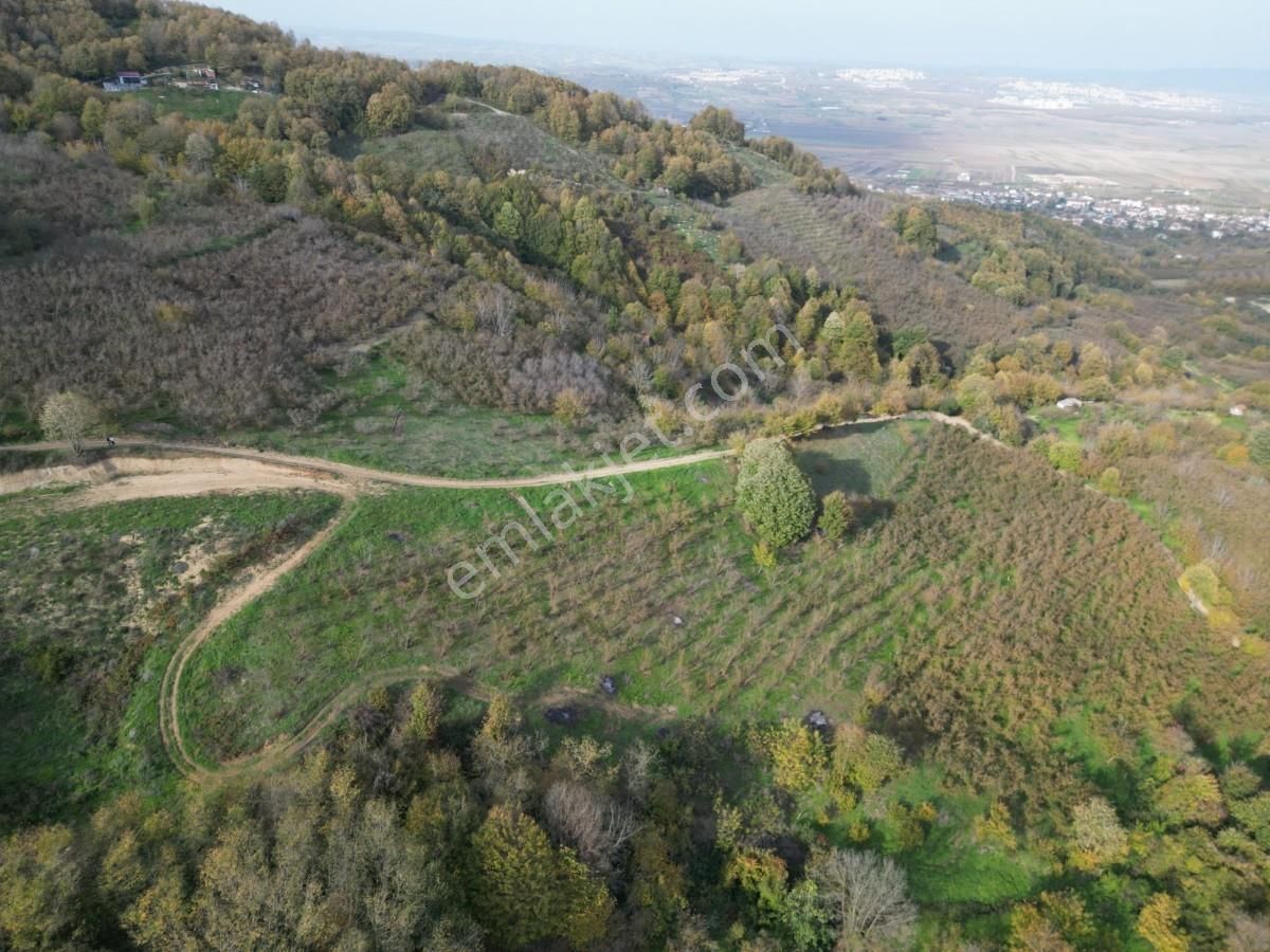 Turyaptan Serdivan Çubuklu Da 10424 M² Bağ Evine Uygun Tarla - Görsel 20