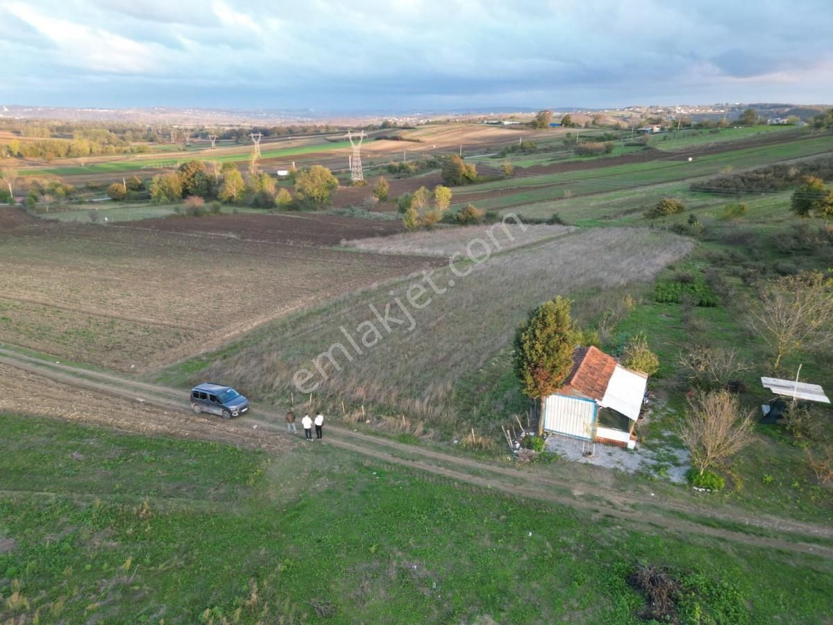 Kaynarca Da Müstakil Ev Yapımına Uygun 6445 M² Fırsat Arazi - Görsel 10