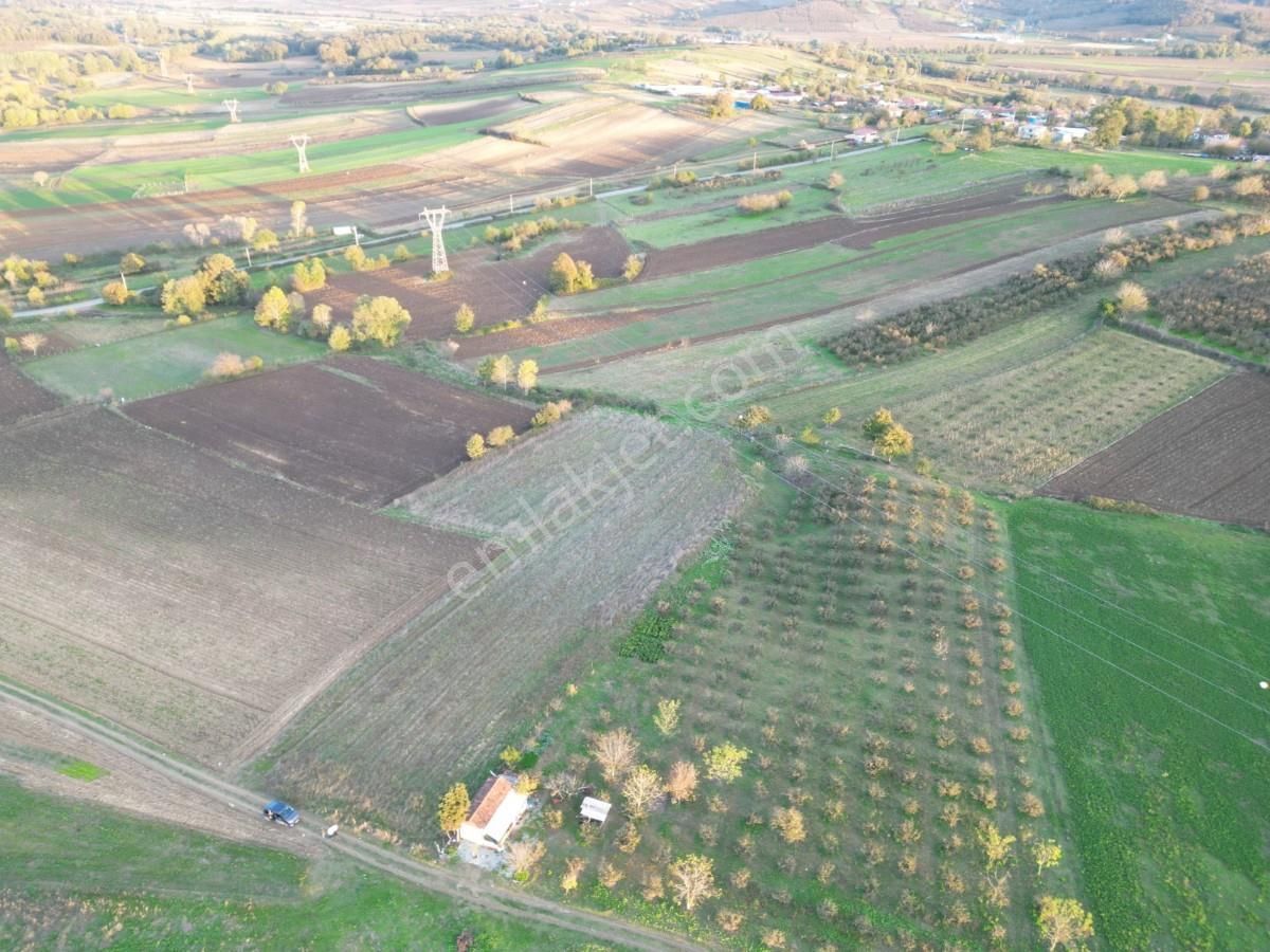 Kaynarca Da Müstakil Ev Yapımına Uygun 6445 M² Fırsat Arazi - Görsel 28