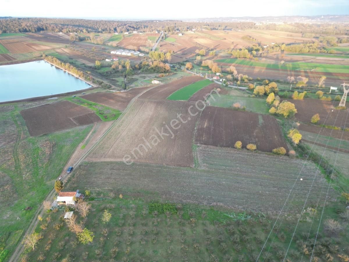 Kaynarca Da Müstakil Ev Yapımına Uygun 6445 M² Fırsat Arazi - Görsel 5